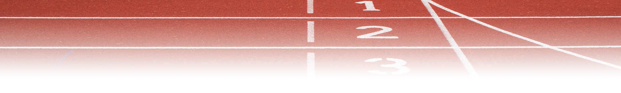 MultiSport Courts Construction